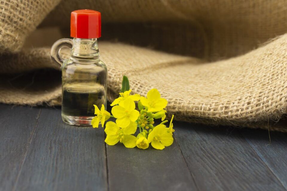 canola oil buteleczka