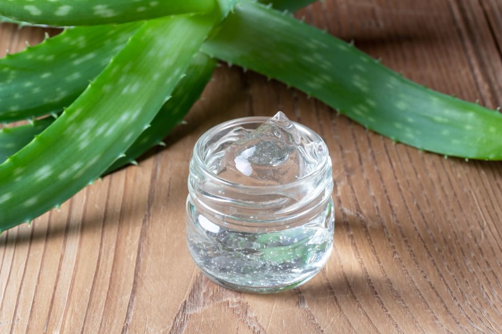 Nawilzanie i peeling w jednym Aloes na twarz–potezna bron w walce o jedrna i naturalnie promienna skore Aloes na twarz–domowe sposoby